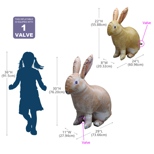 JC-2BUNNY 30" & 24" Bunny - Measurement