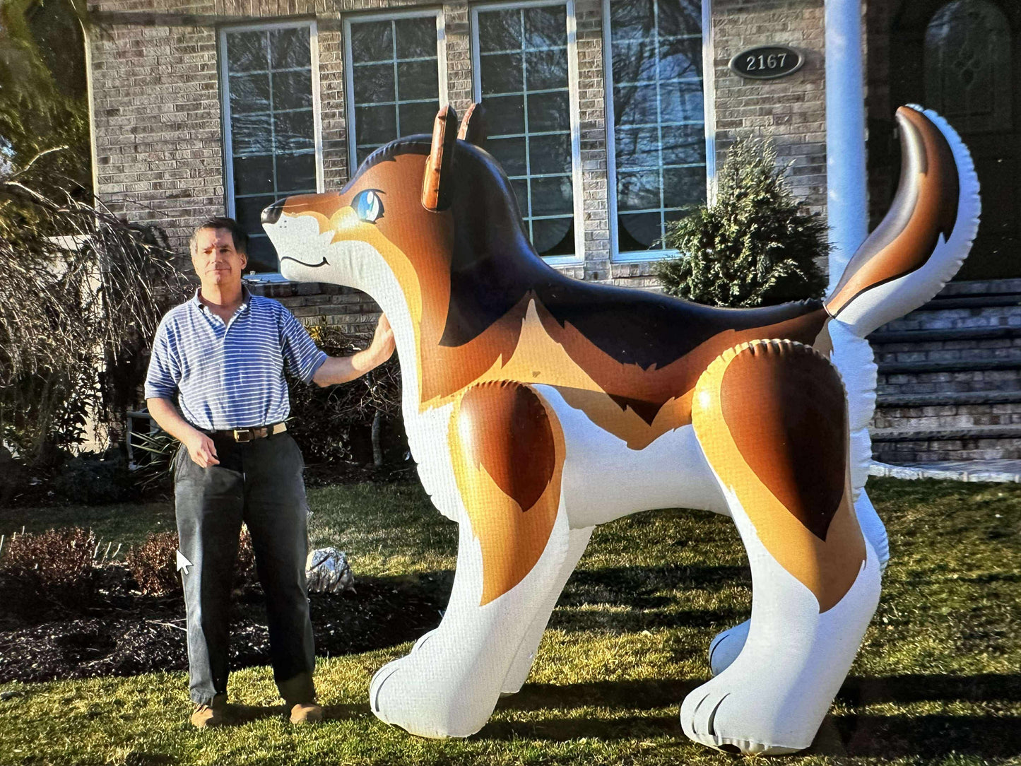 7' Tall G&G Wolf