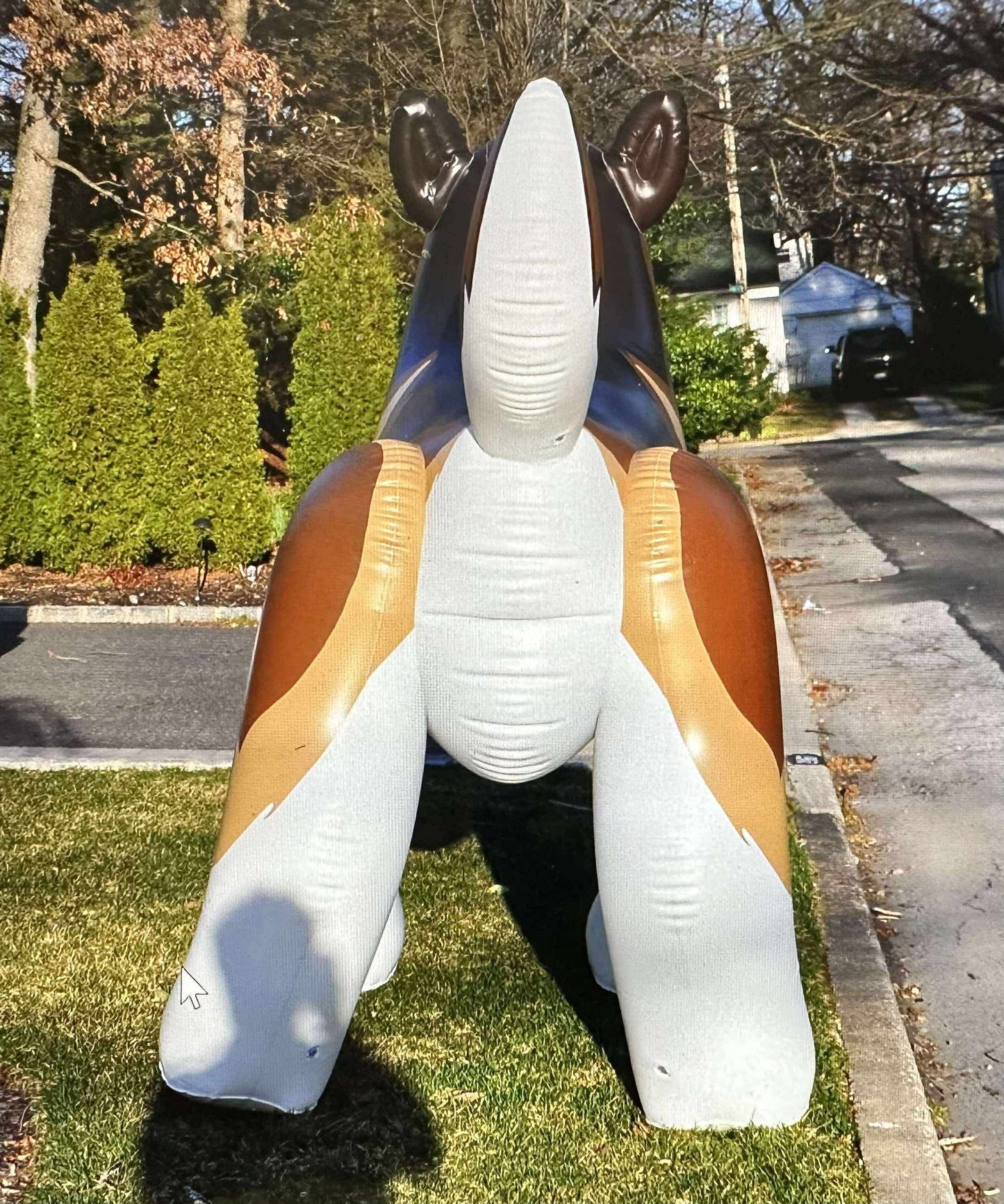 7' Tall G&G Wolf