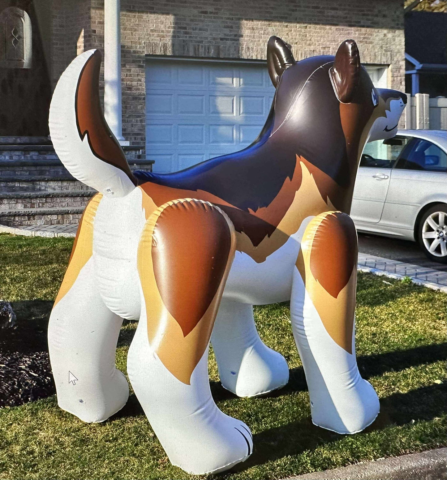 7' Tall G&G Wolf