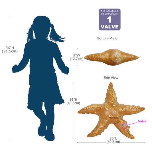 JC-STAR4 4-pack 20in Starfish bundle - Measurement