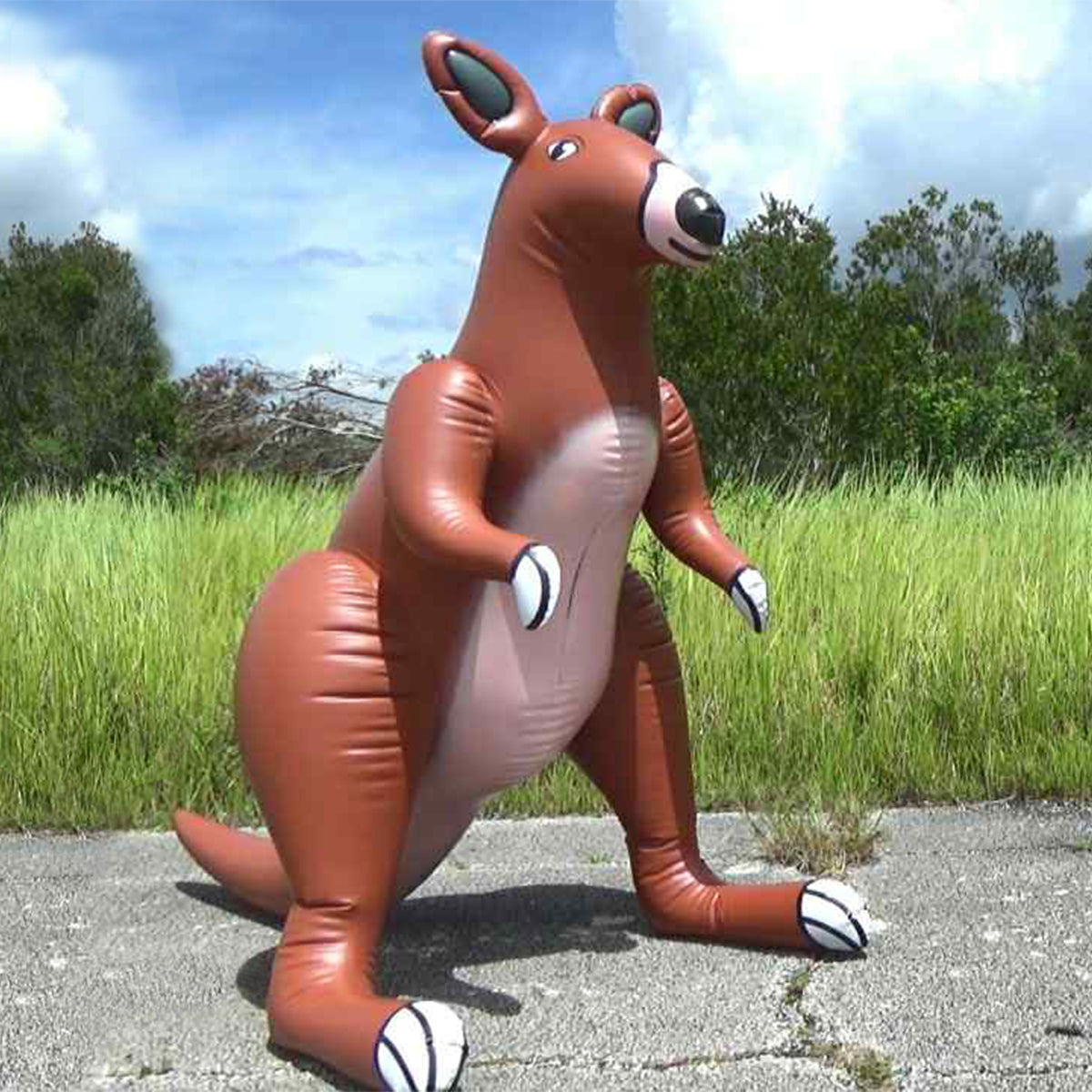 Kangaroo