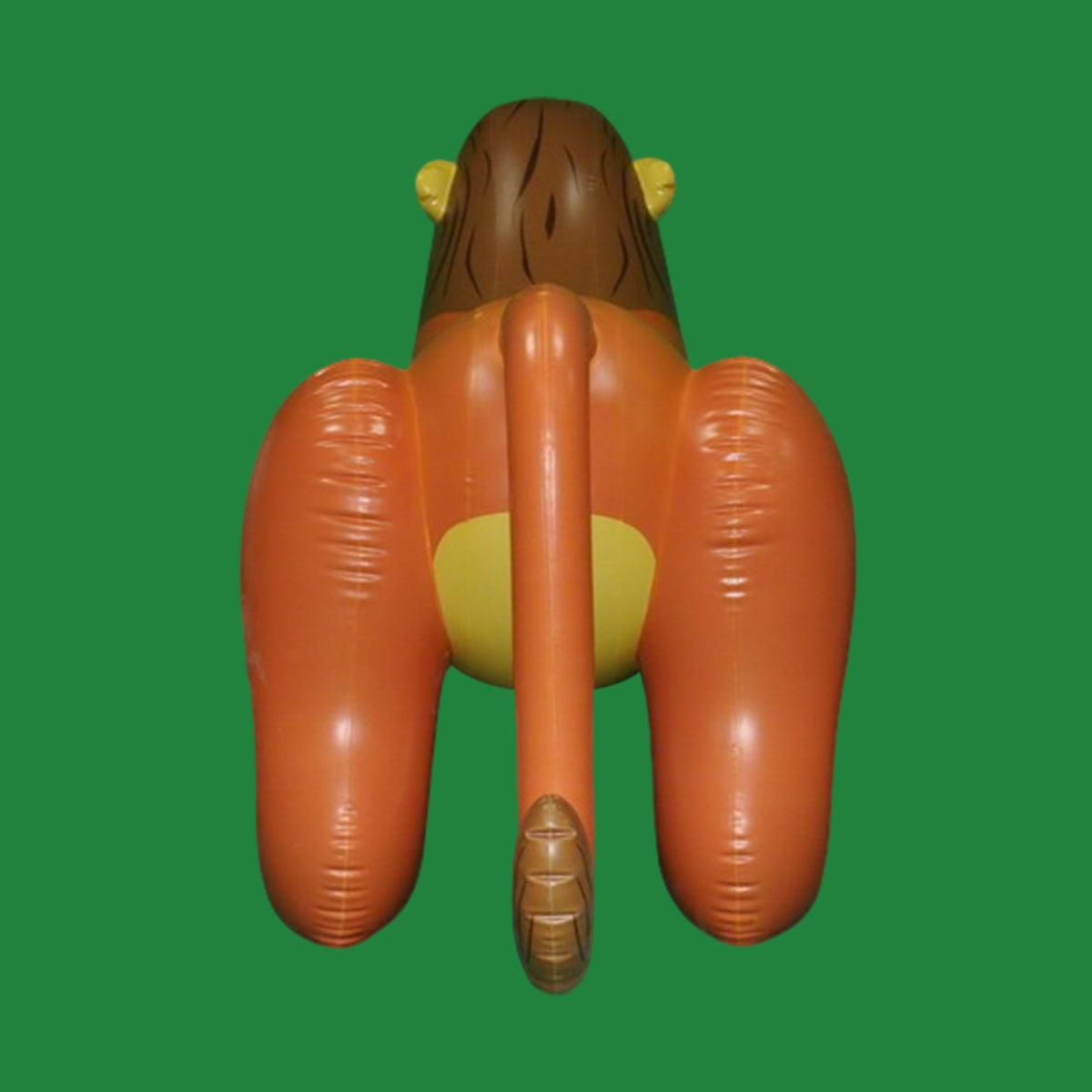54“Tall Lion