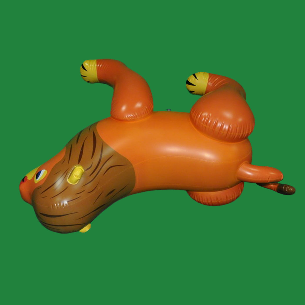 54“Tall Lion