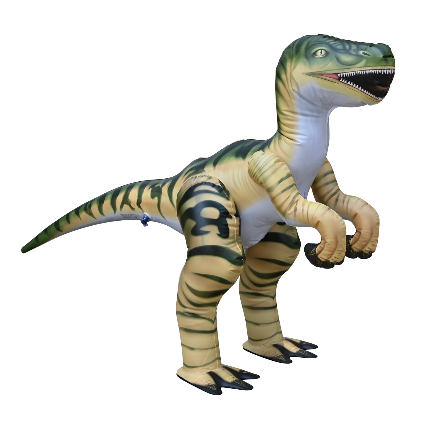 DI-RAPTOR 30"H/51"L Raptor