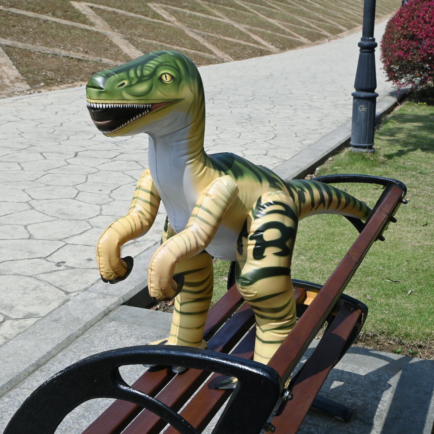 DI-RAPTOR 30"H/51"L Raptor - decor