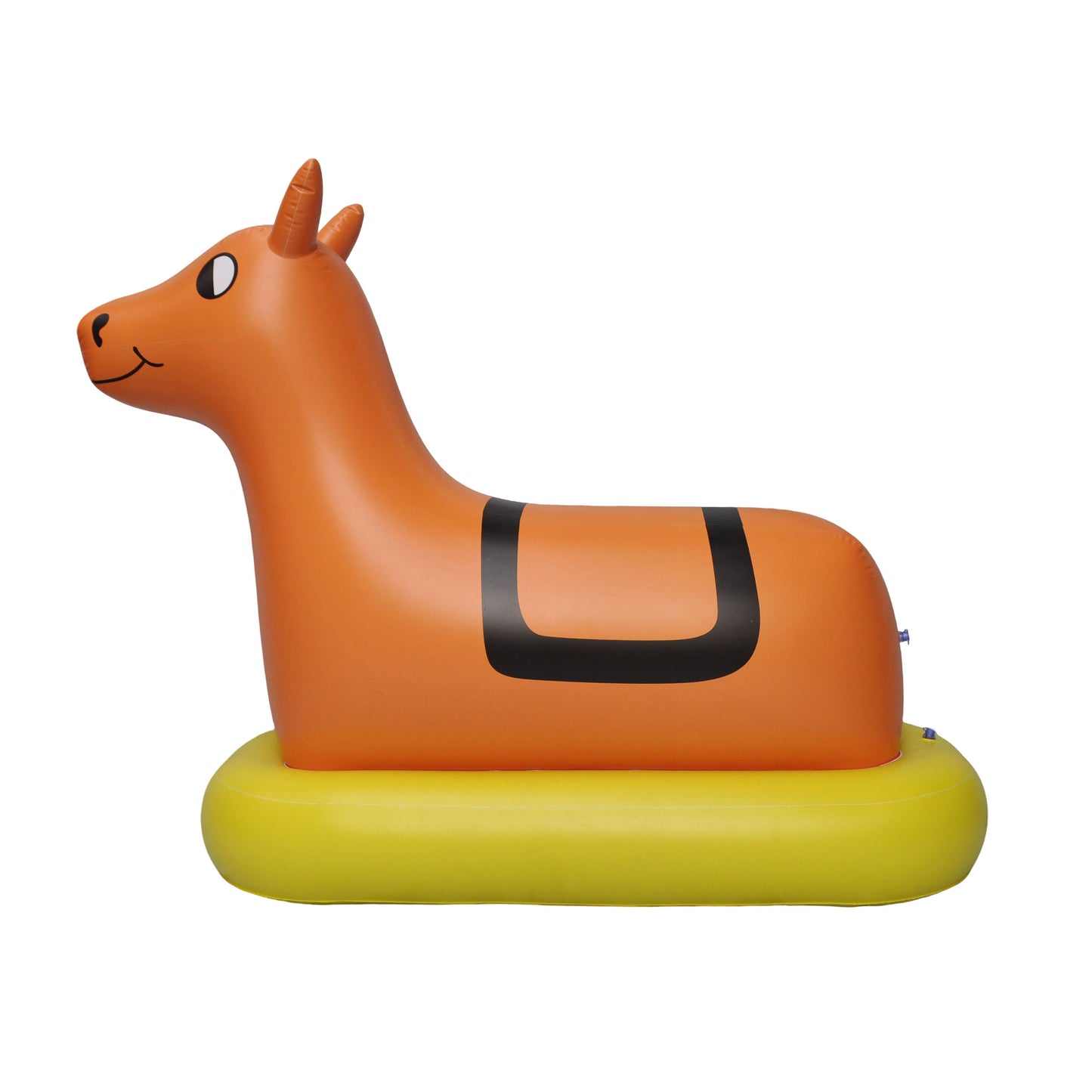 5'H Riding horse
