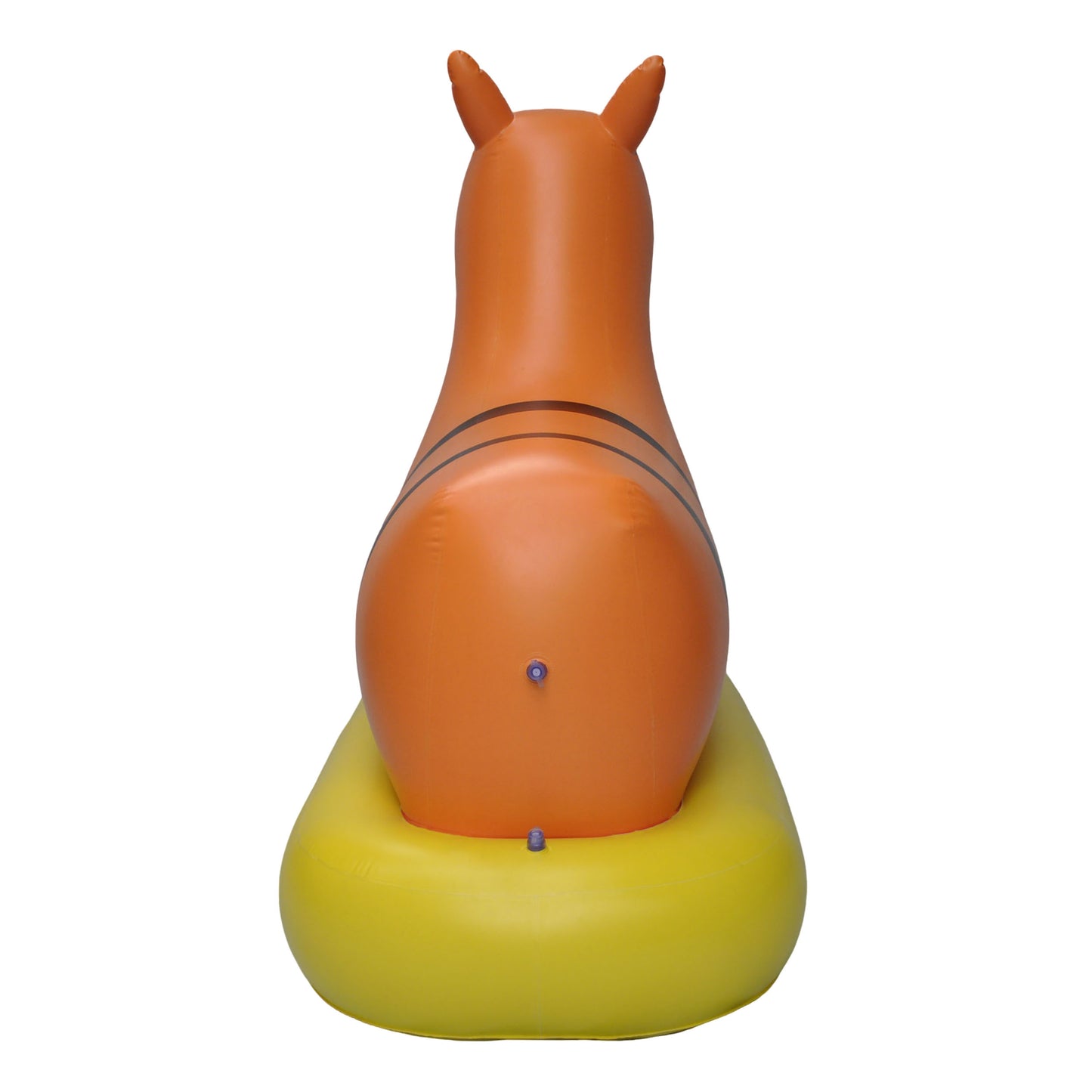 5'H Riding horse