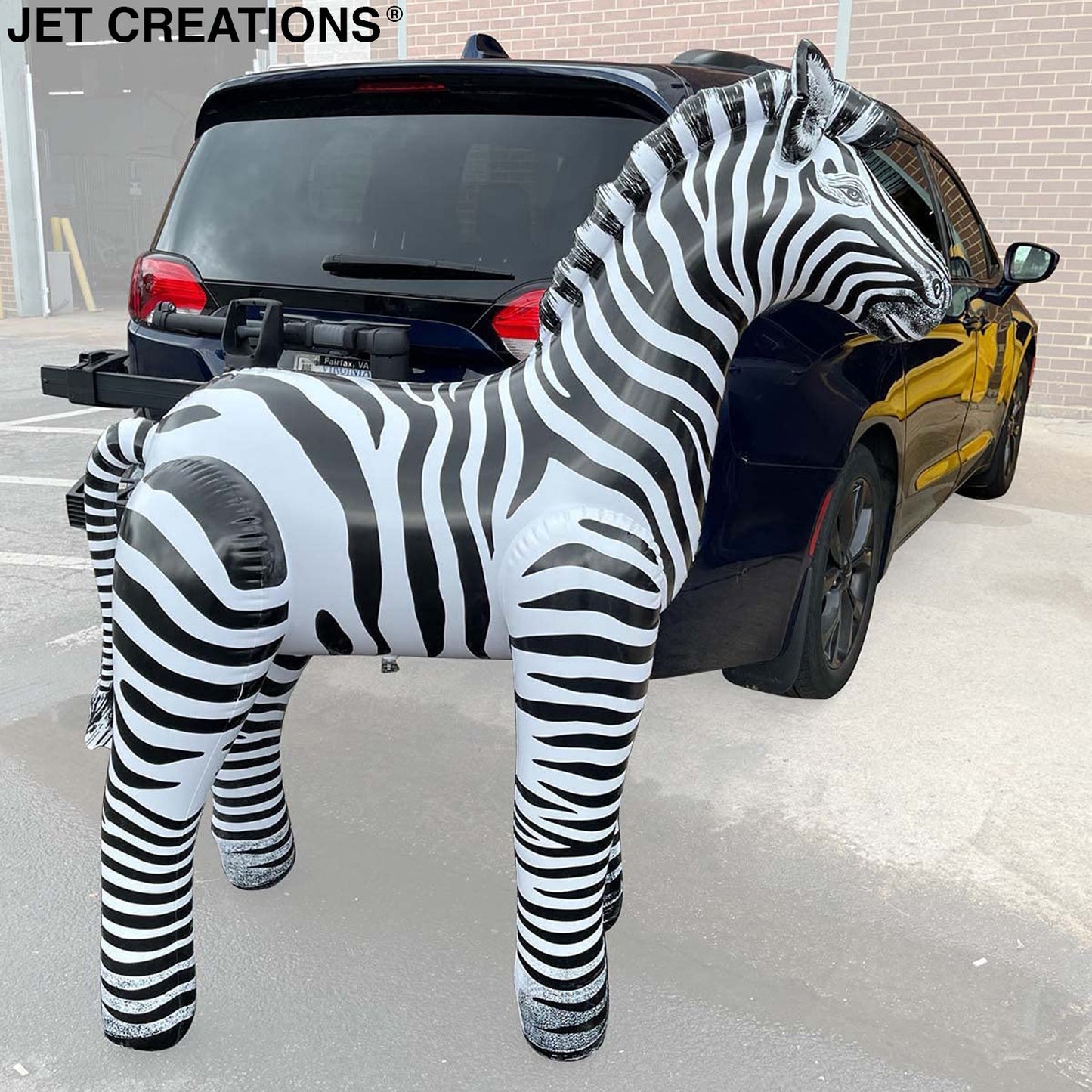 AN-ZEB6 60inch Zebra Decor
