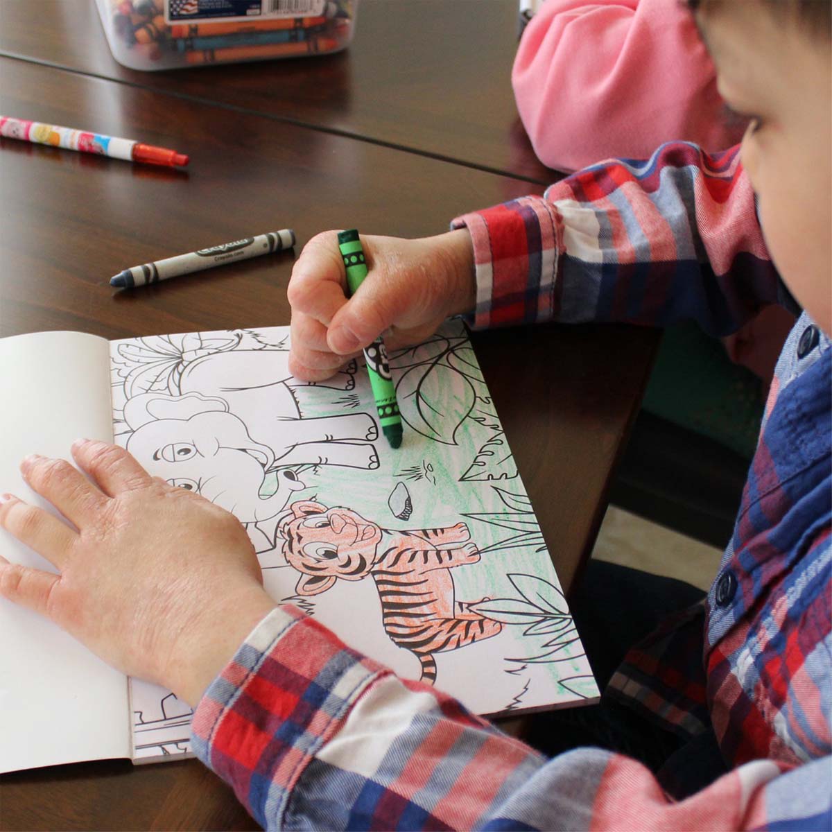 Animals Coloring Book - Coloring