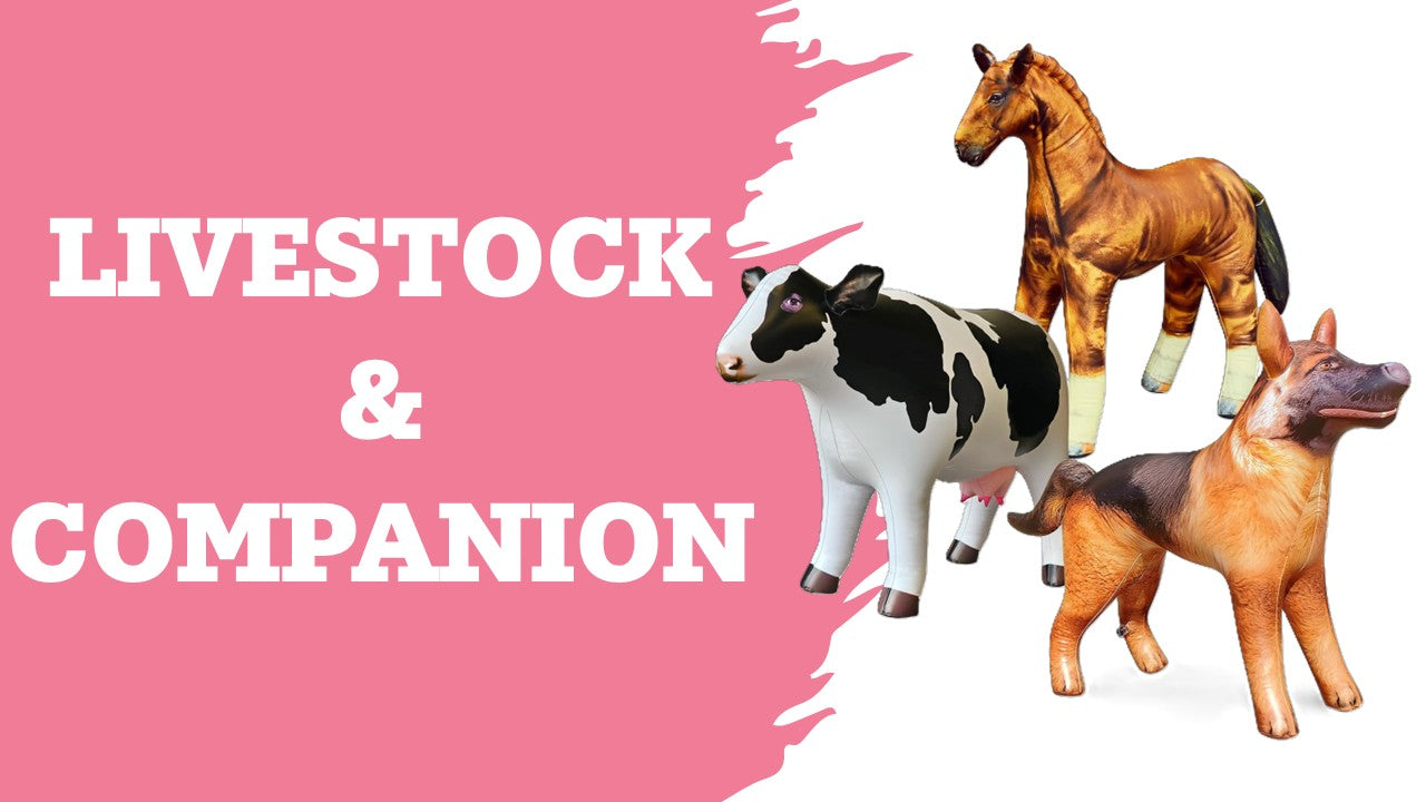 livestock & companion