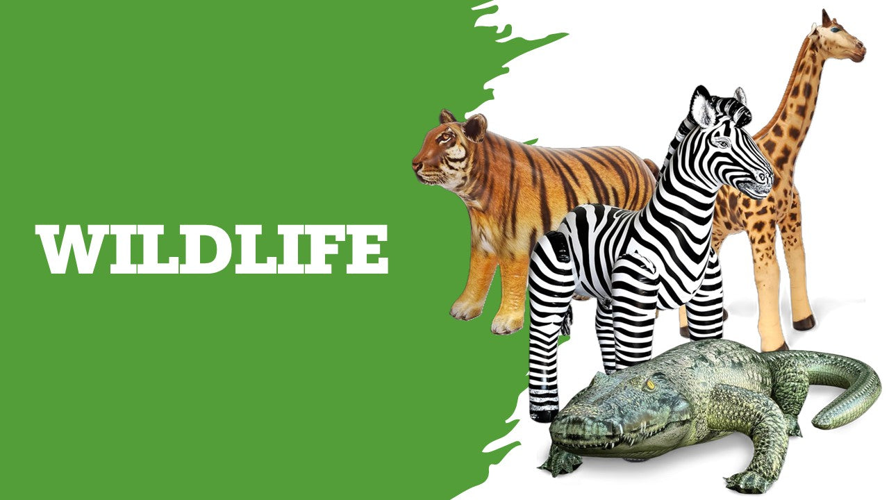 wildlife