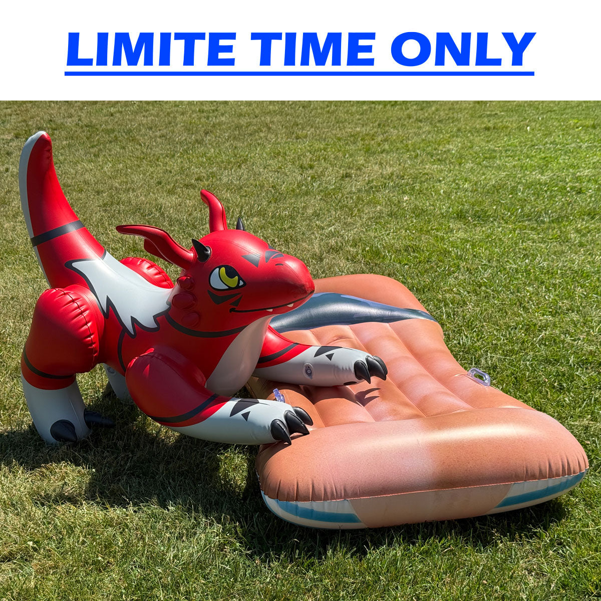 Limited Quantity Special Run: 48" Long Red Dragon + FREE Pool Float