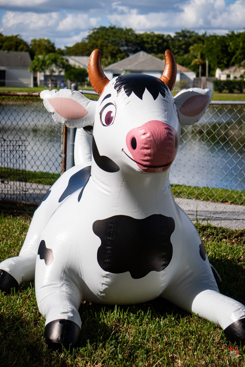 🐶Cow - 76inch (193cm) Long – Jet Creations Inc.