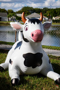 76” L Cow