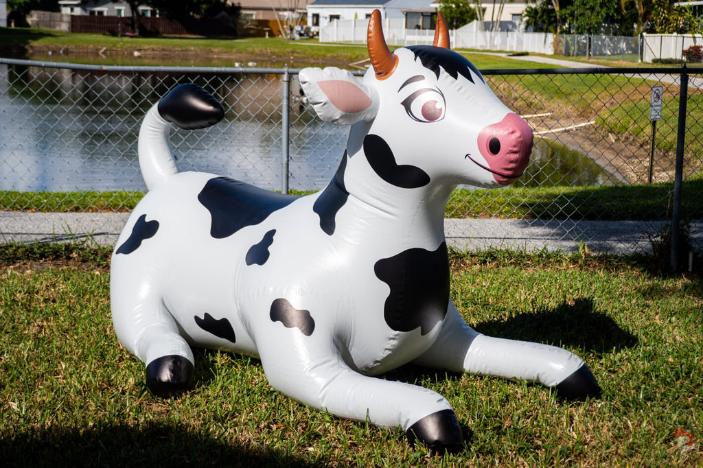 76” L Cow