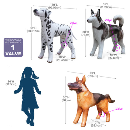 AN-3DOGS Dalmatian, Husky, Shepherd - Measurement