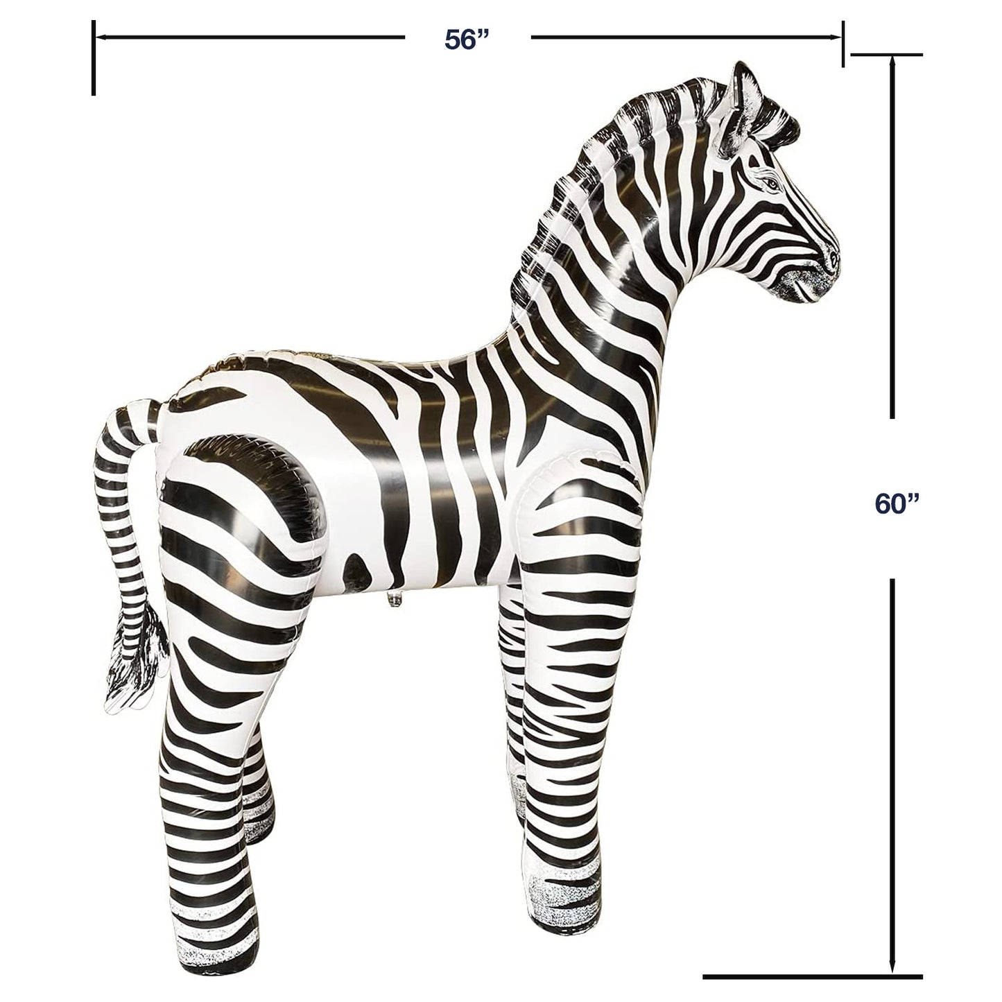 AN-ZEB6 60inch Zebra Size