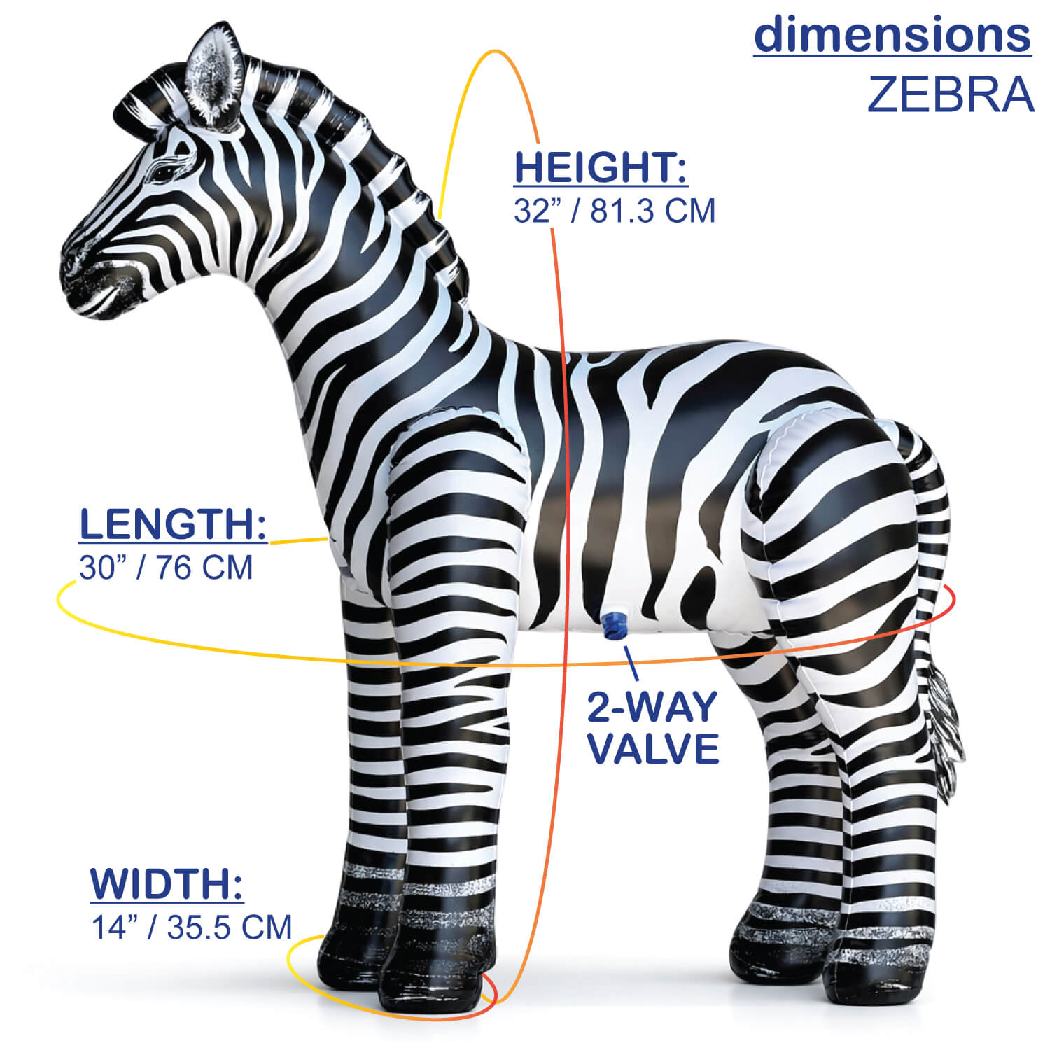 🦓 Zebra : 32"H