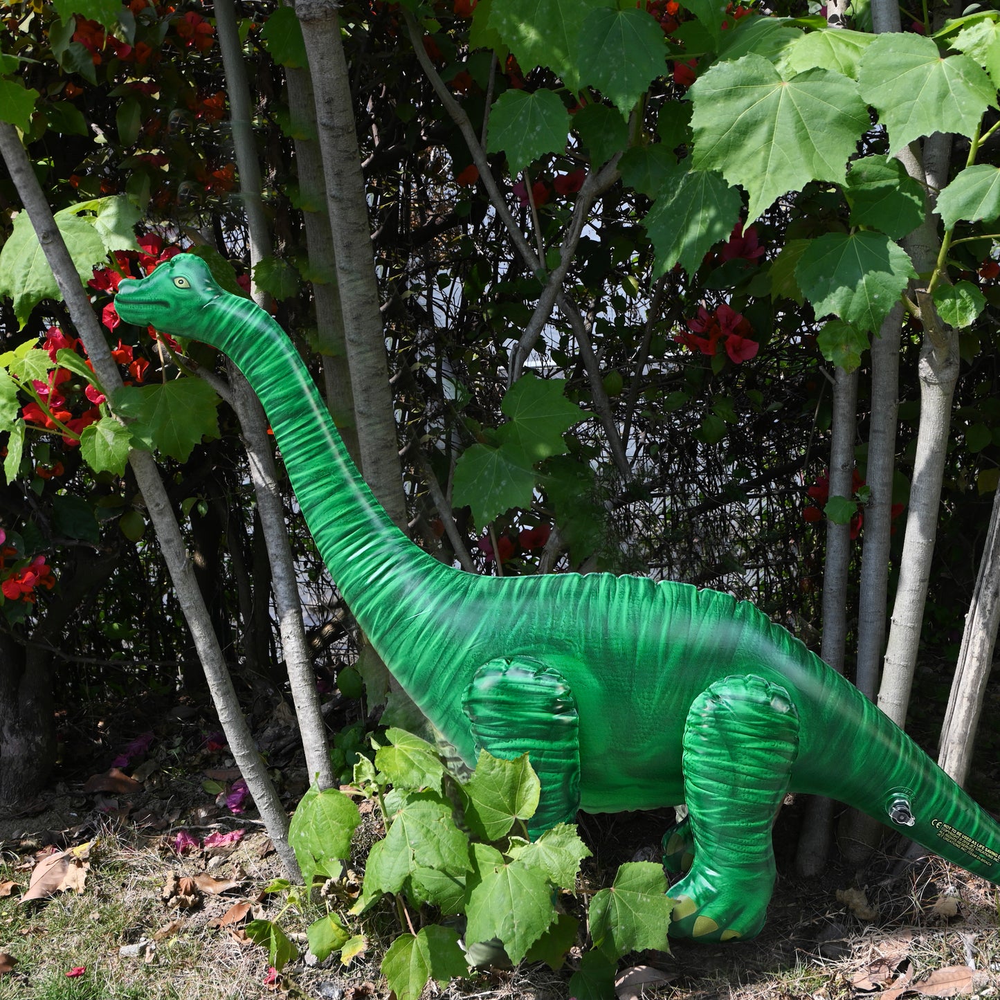 DI-BRAC4 28"H/48"L Brachiosaurus - decor