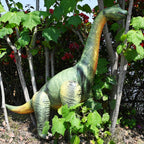 🦕 Brachiosaurus : 48" Long