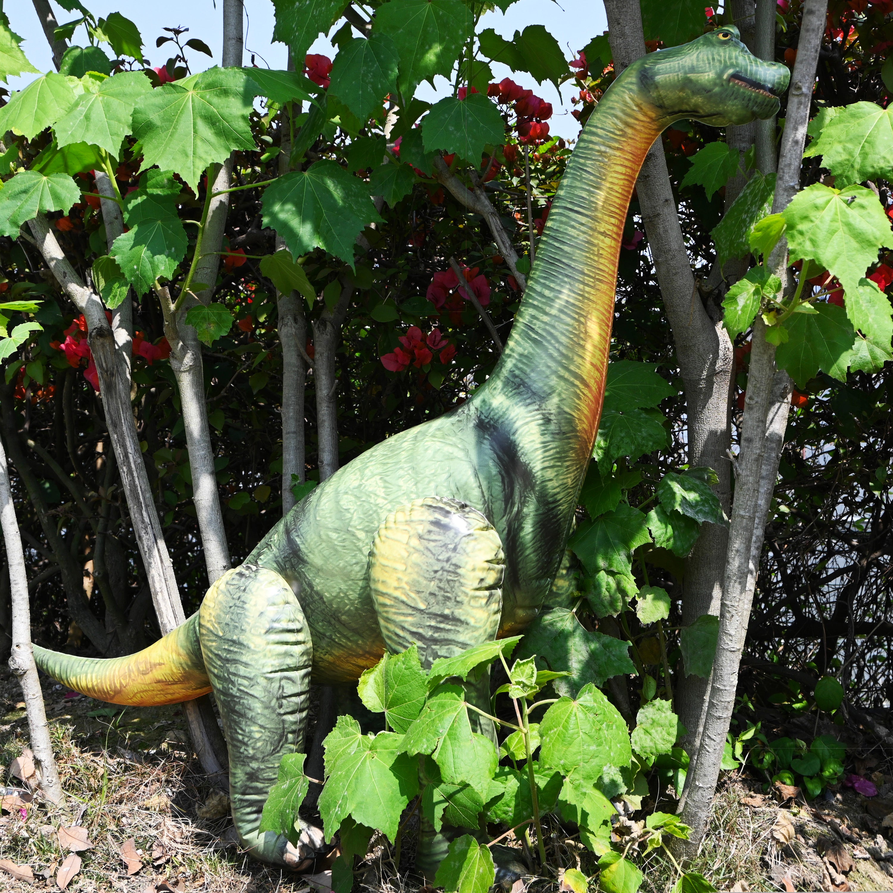 🦕 Brachiosaurus : 48" Long