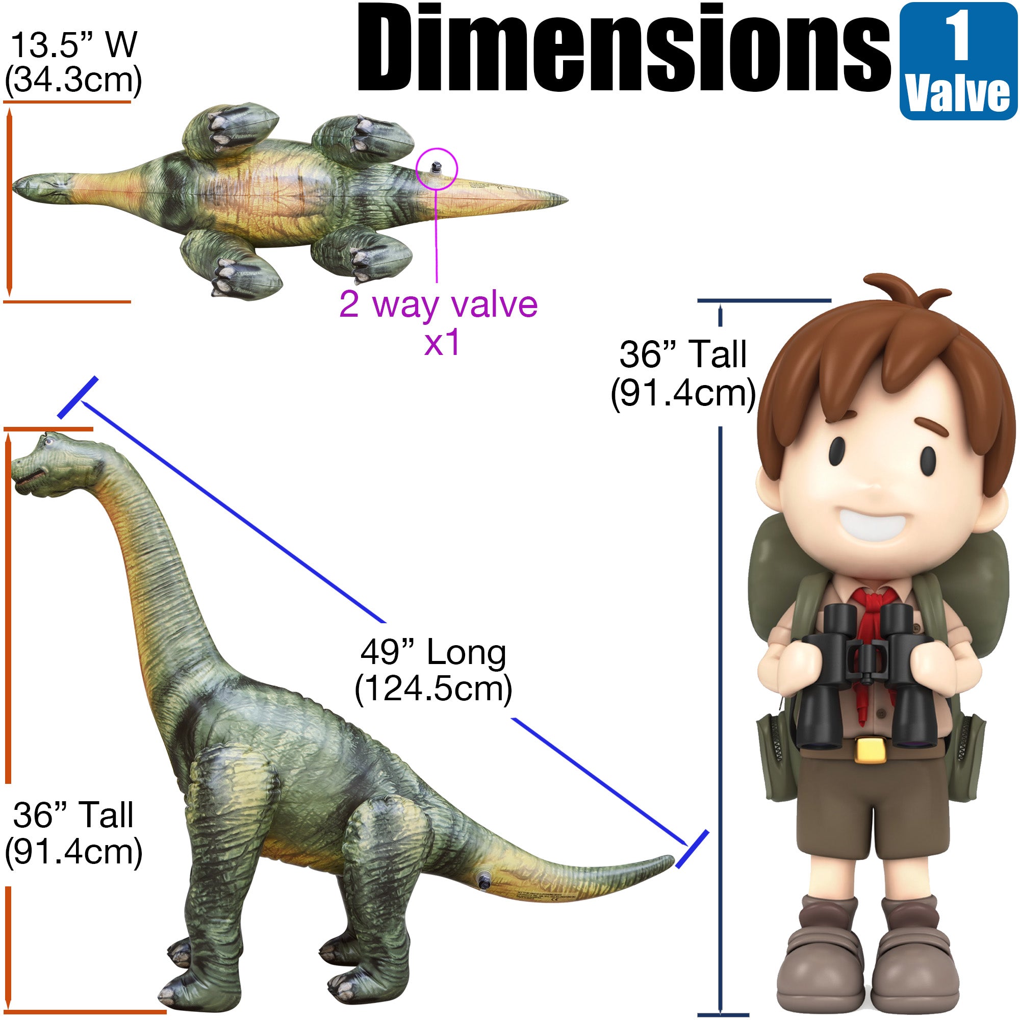🦕 Brachiosaurus : 48" Long