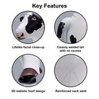 🐄 Cow : 36" Long
