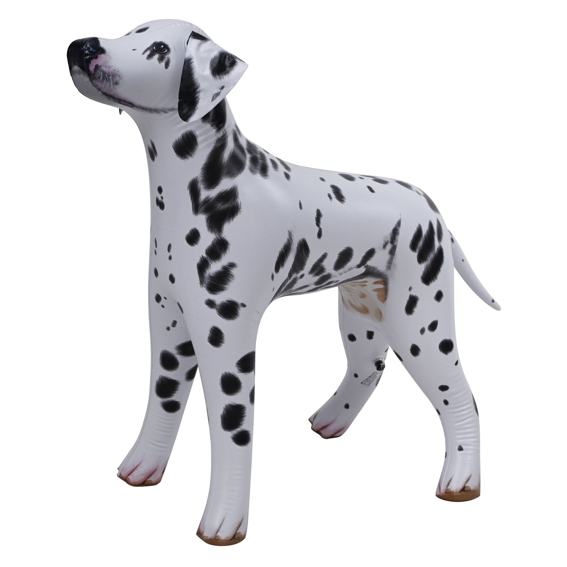 AN-DALM - 39" L Dalmatian