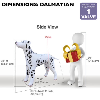 AN-DALM _Dimensions Size