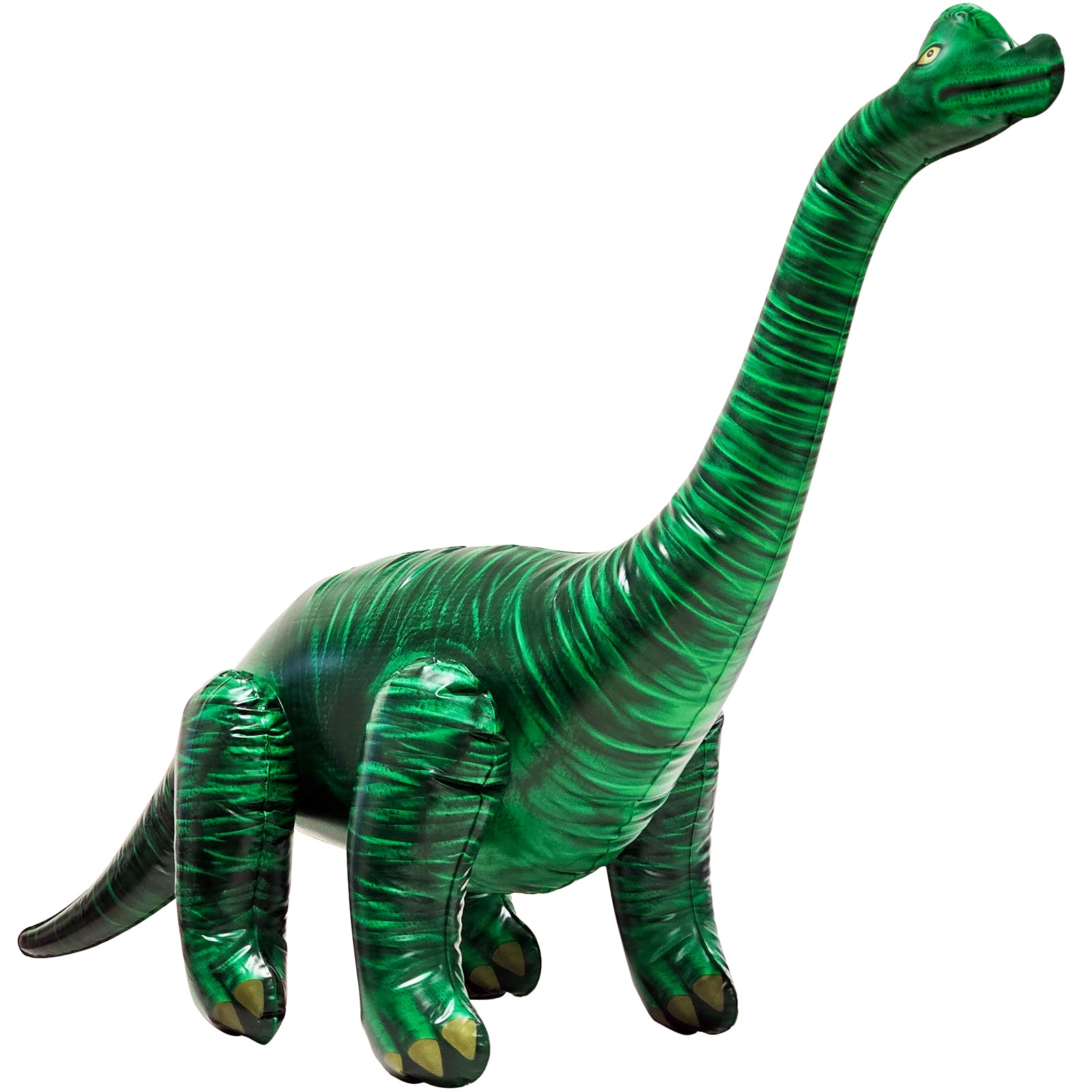 🦕 Brachiosaurus : 48" Long