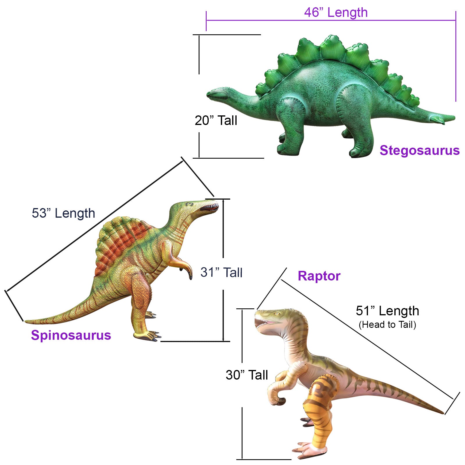 DI-SSR Dinosaur Bundle - Size