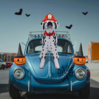 🐕 Inflatable Dalmatian Dog