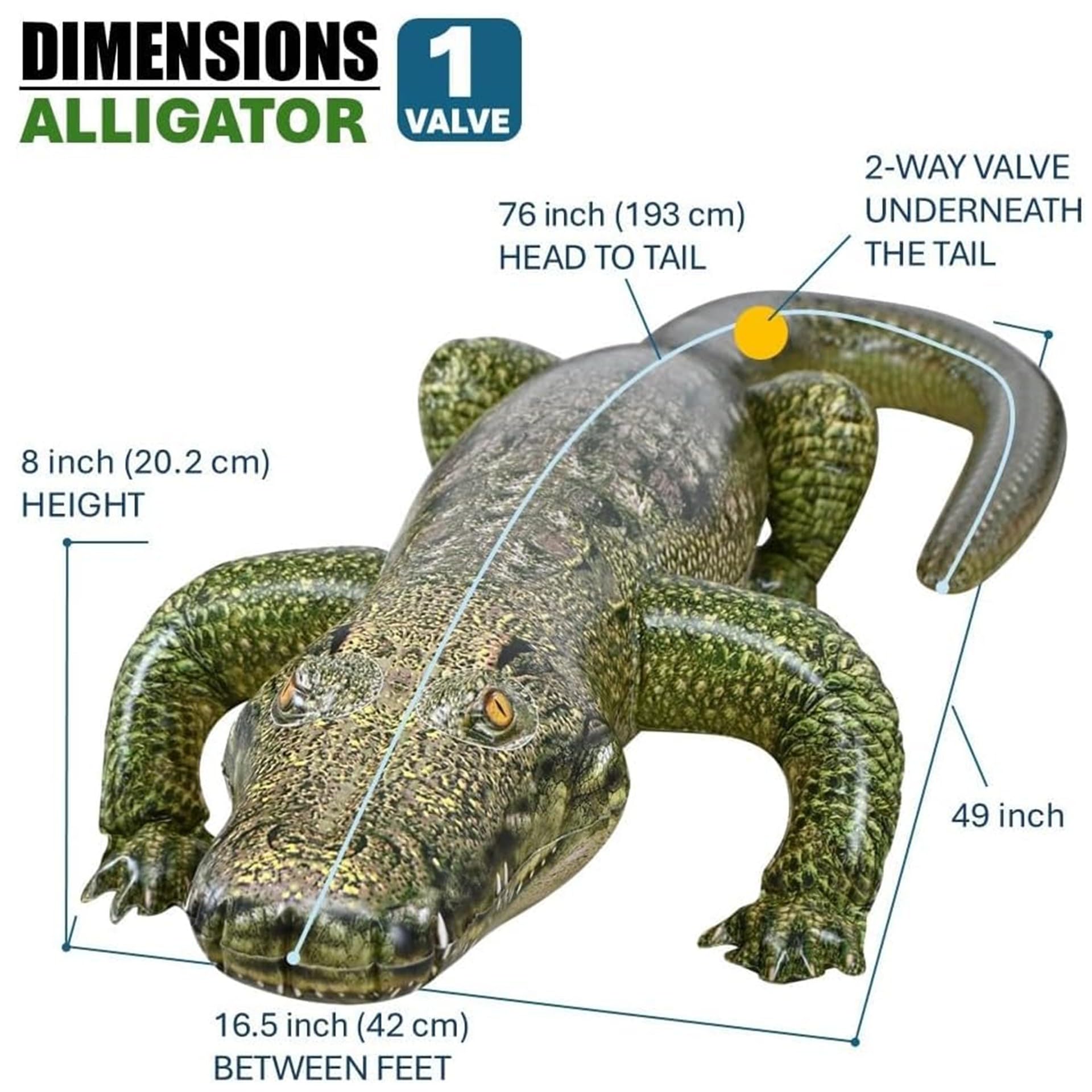 🐊 Alligator : 76" Long