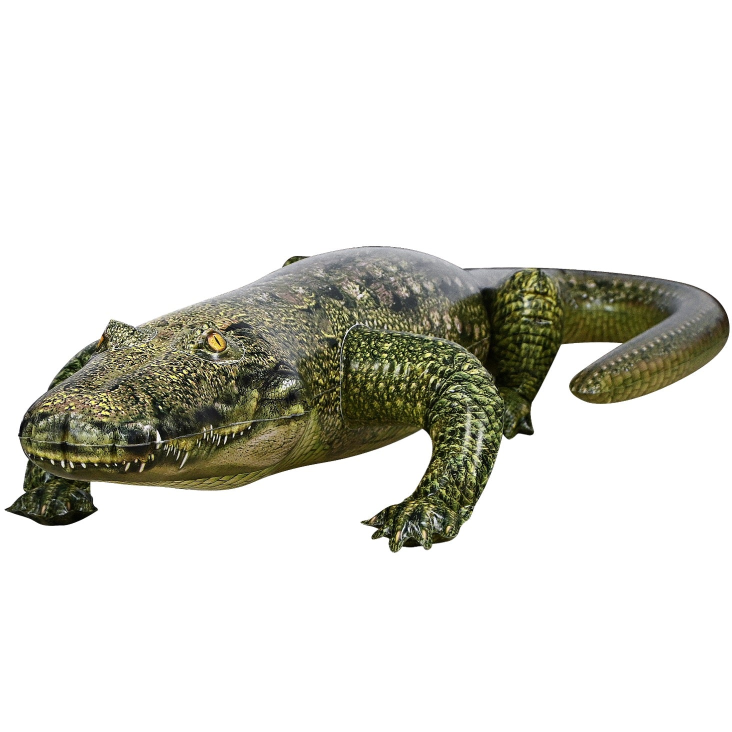 🐊 Alligator : 76" Long