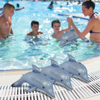 JC-DOL4 _ 4-pack Dolphin Bundle - Decor