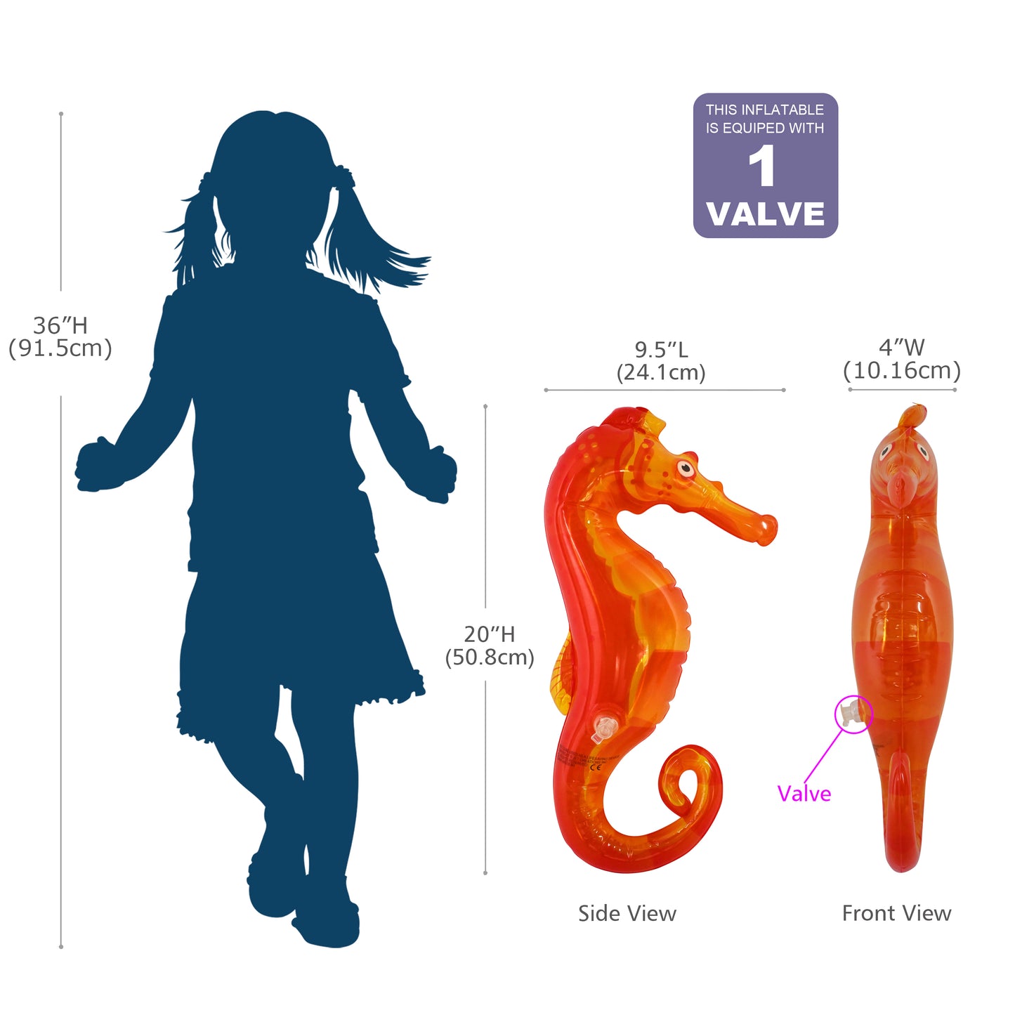 JC-SEAH4 _ 4-pack Seahorse bundle - Measurement