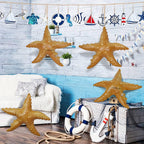 JC-STAR4 4-pack 20in Starfish bundle - Decor