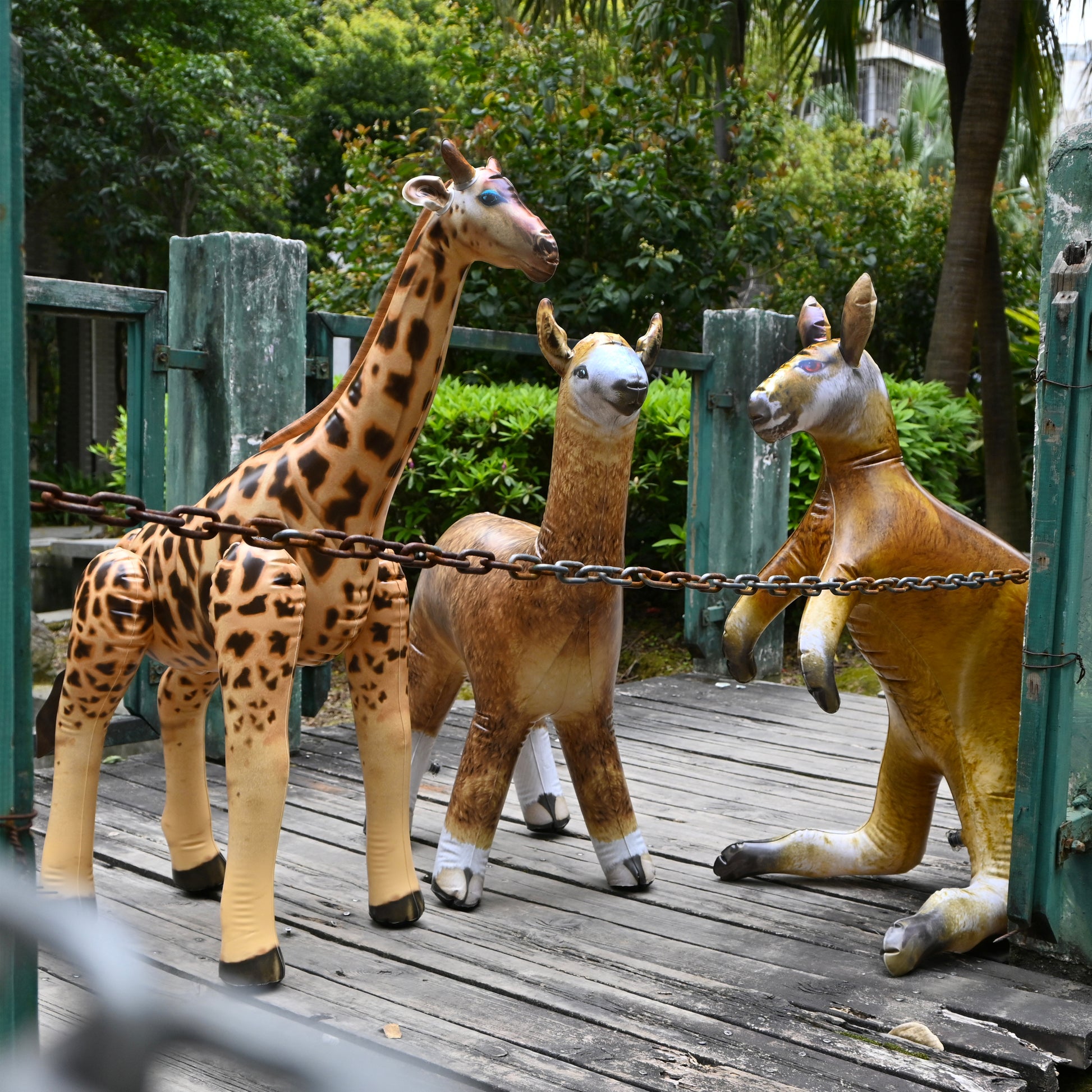 JC-KGA - Kangaroo, Giraffe, Alpaca - Decor