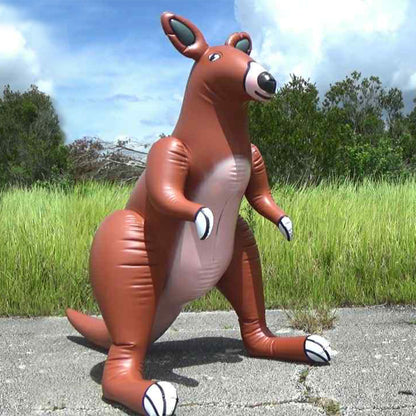 Kangaroo