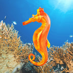 JC-SEAH4 _ 4-pack Seahorse bundle - Decor