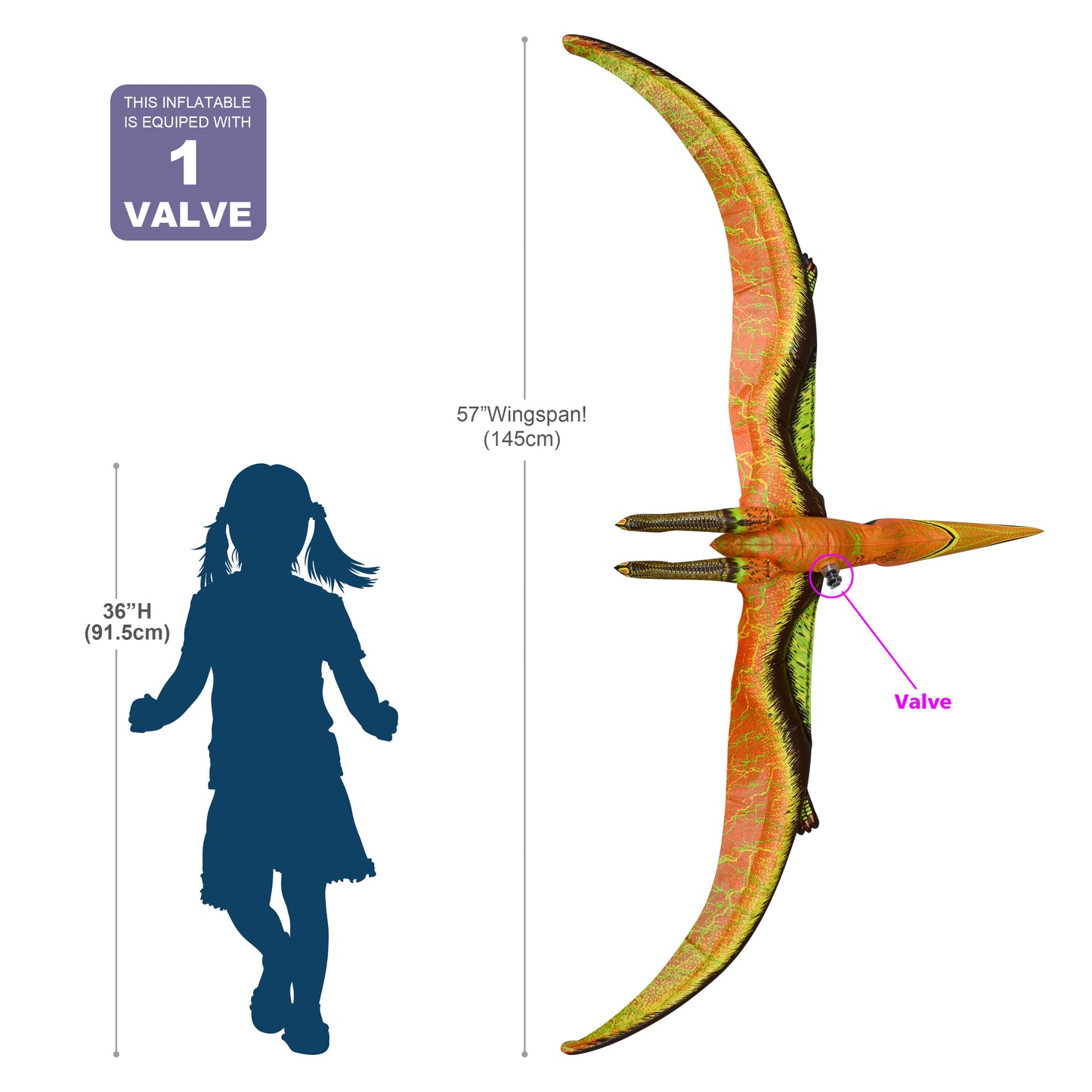DI-PTE 57" Pteranodon - Measurement