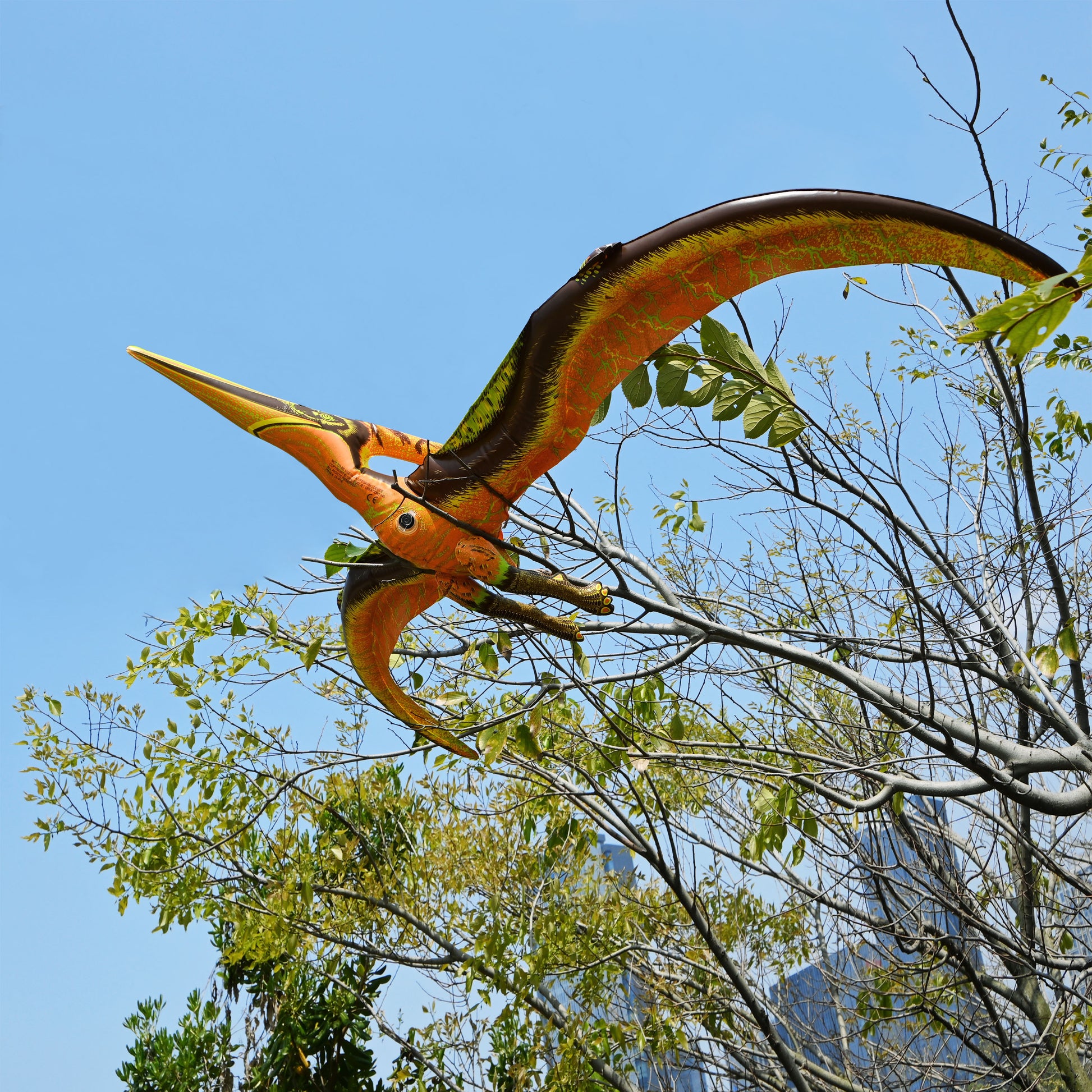 DI-PTE 57" Pteranodon