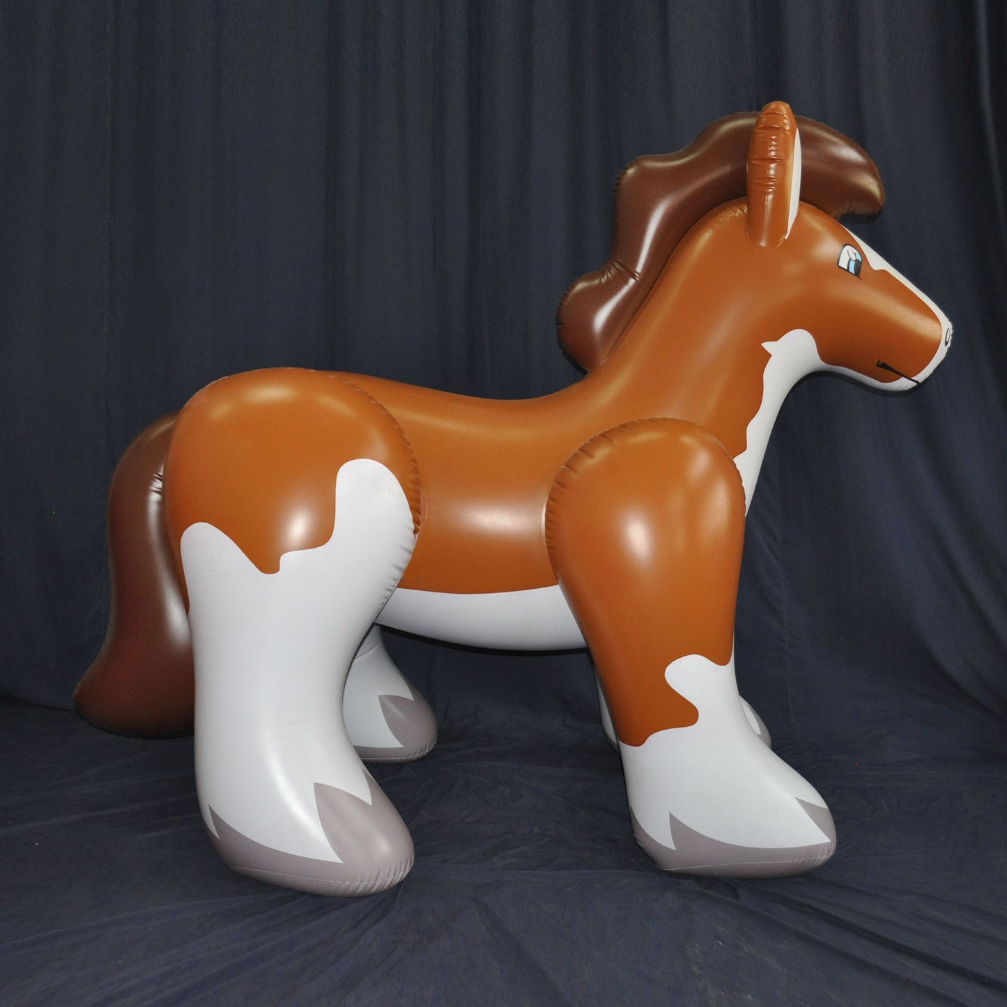 Paint Horse