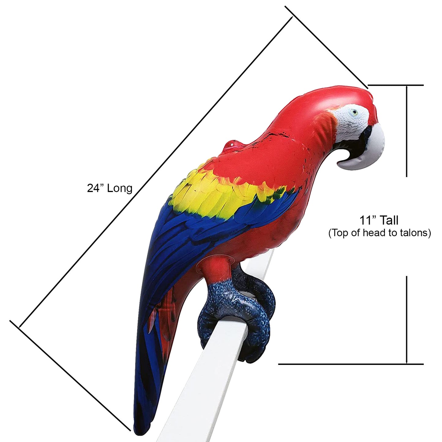 Inflatable Parrot 2PCS