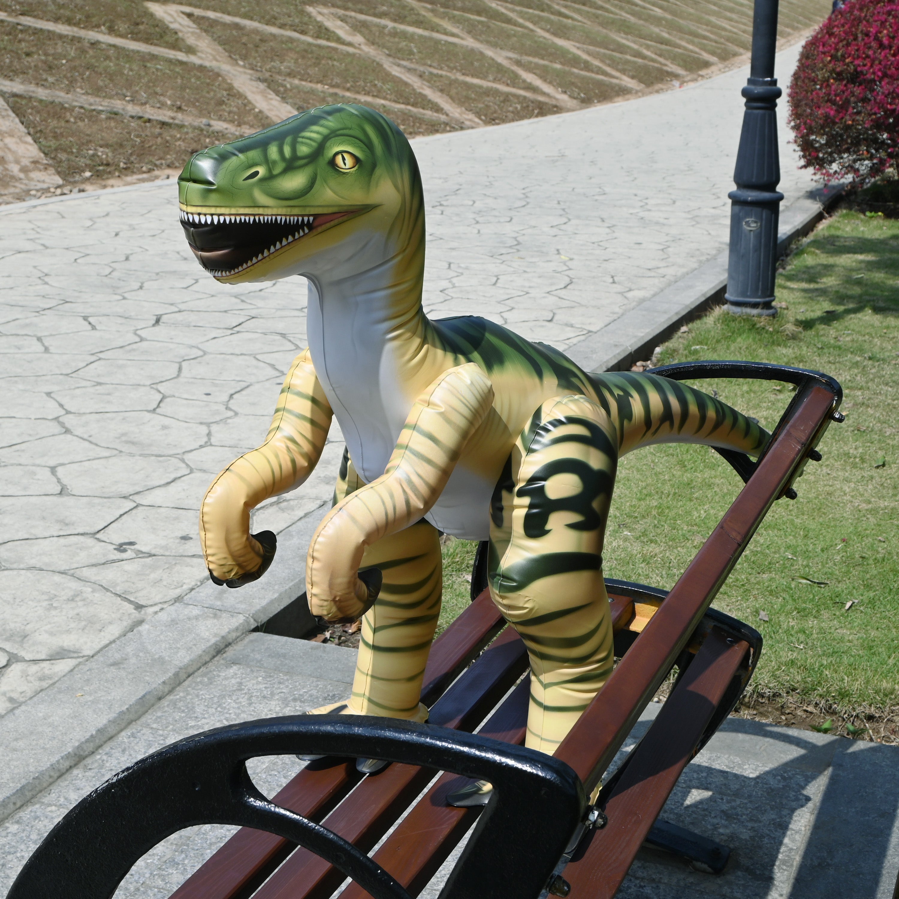 DI-RAPTOR 30"H/51"L Raptor - decor
