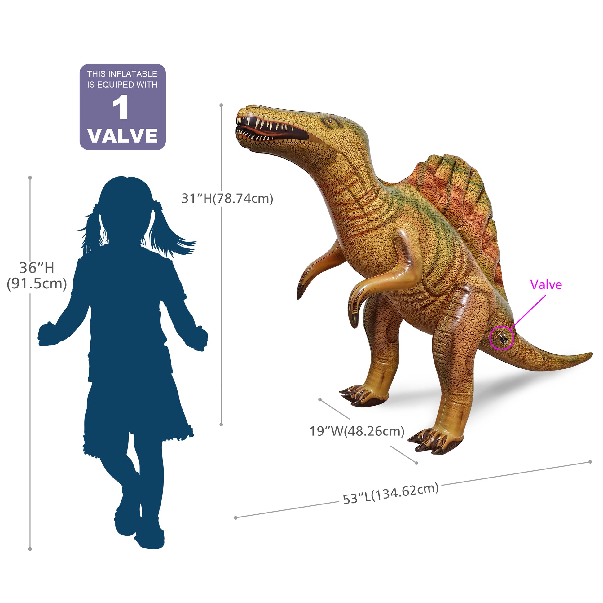 DI-SPINO 31"H/53"L Spinosaurus - Measurement