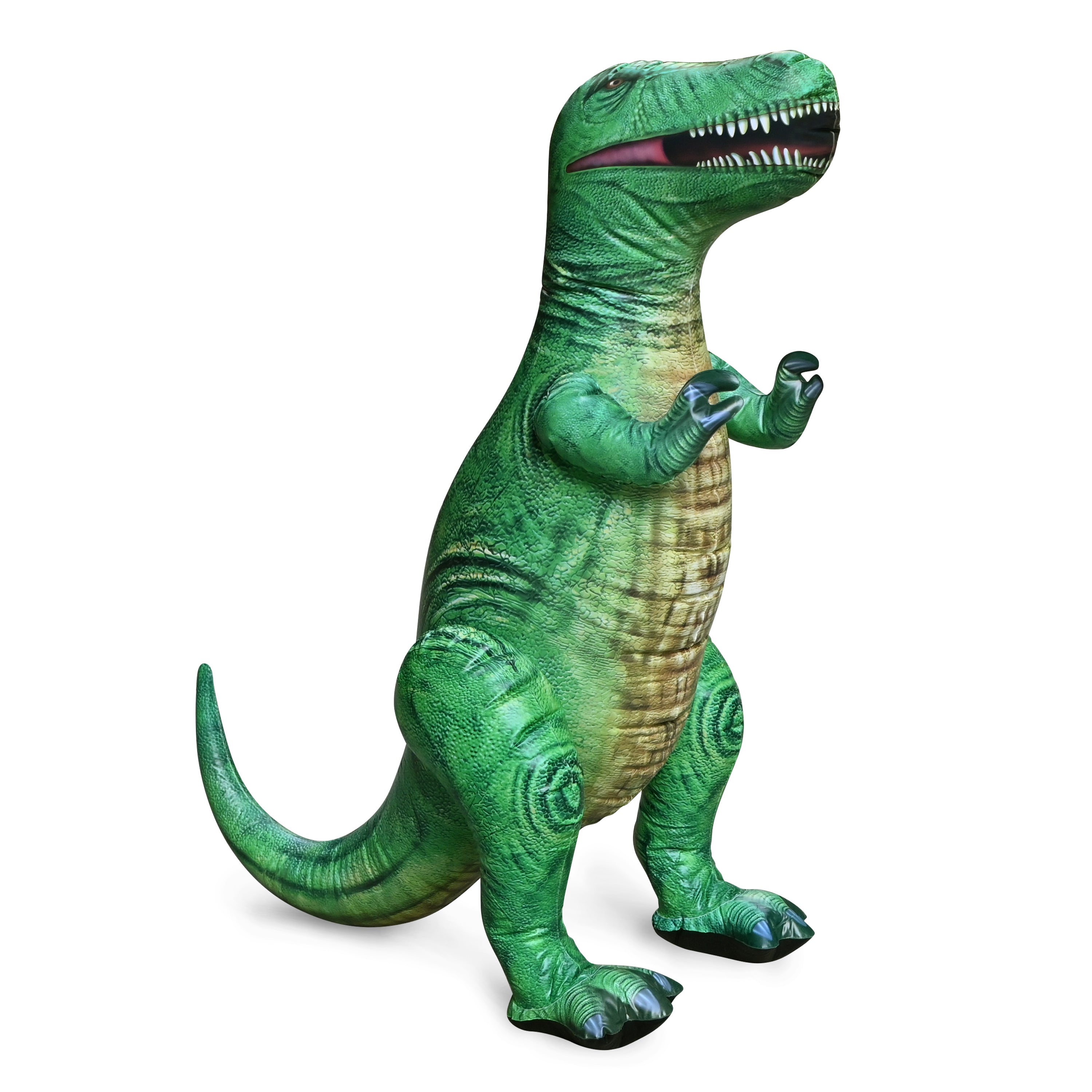 DI-TYR3 37"H/43"L T-Rex 