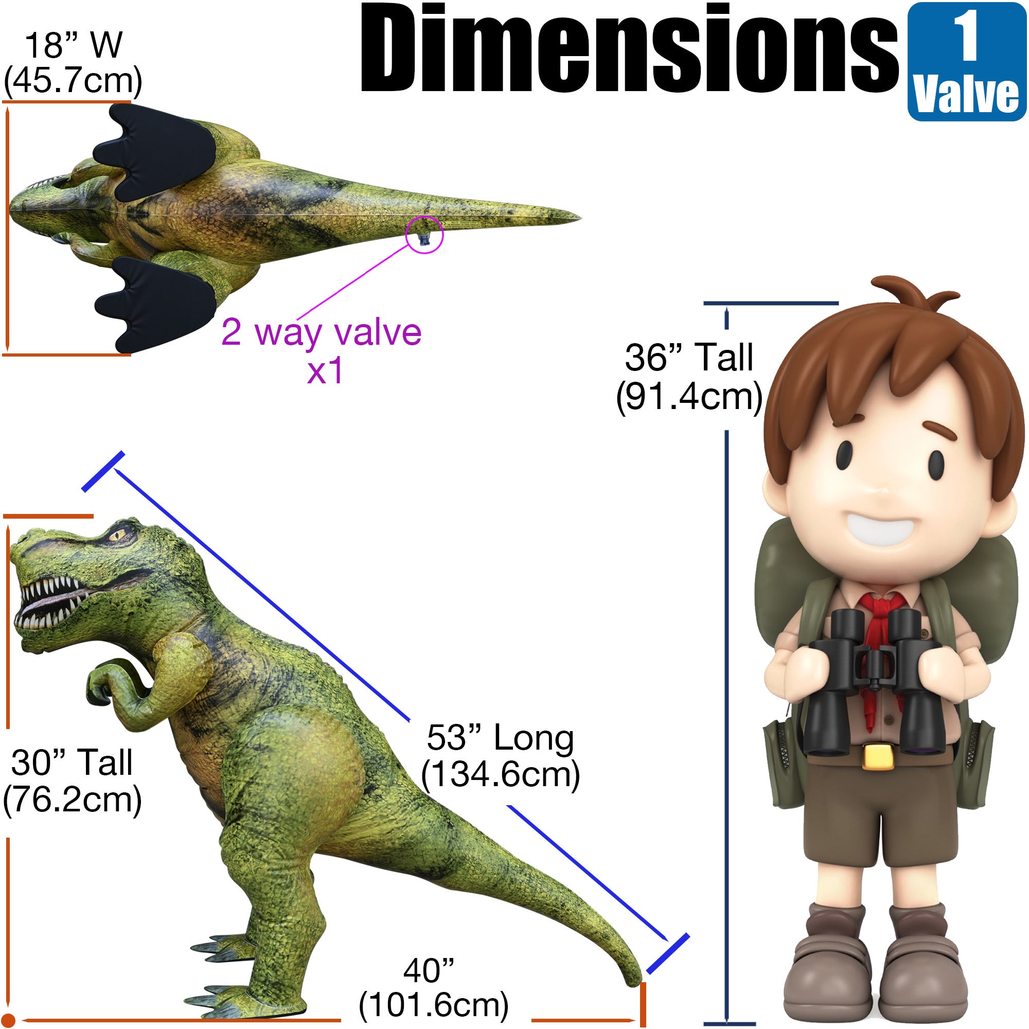 🦕 Tyrannosaurus rex : 53" Long