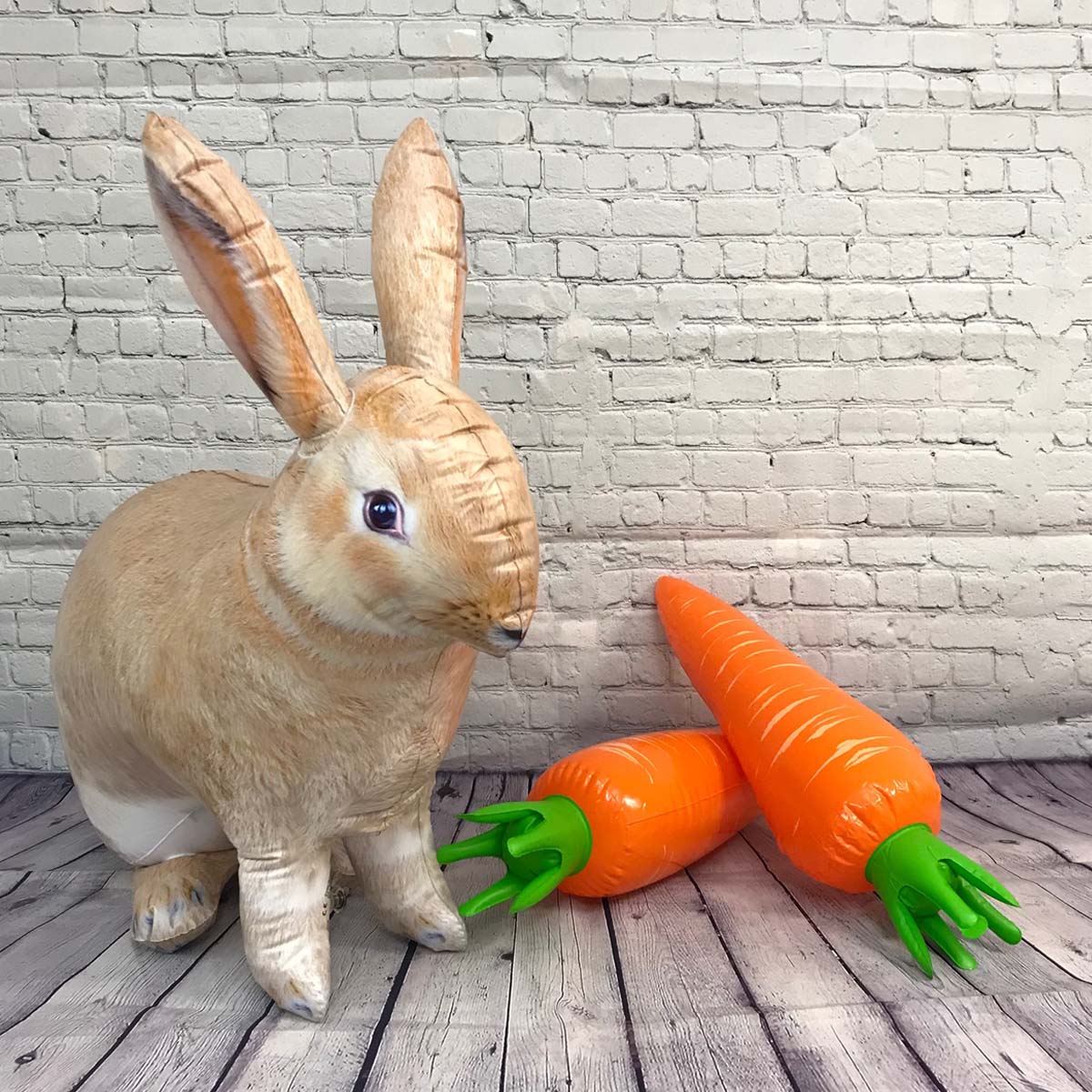 JC-A2002 Rabbit & 2 Carrot Bundle Decor